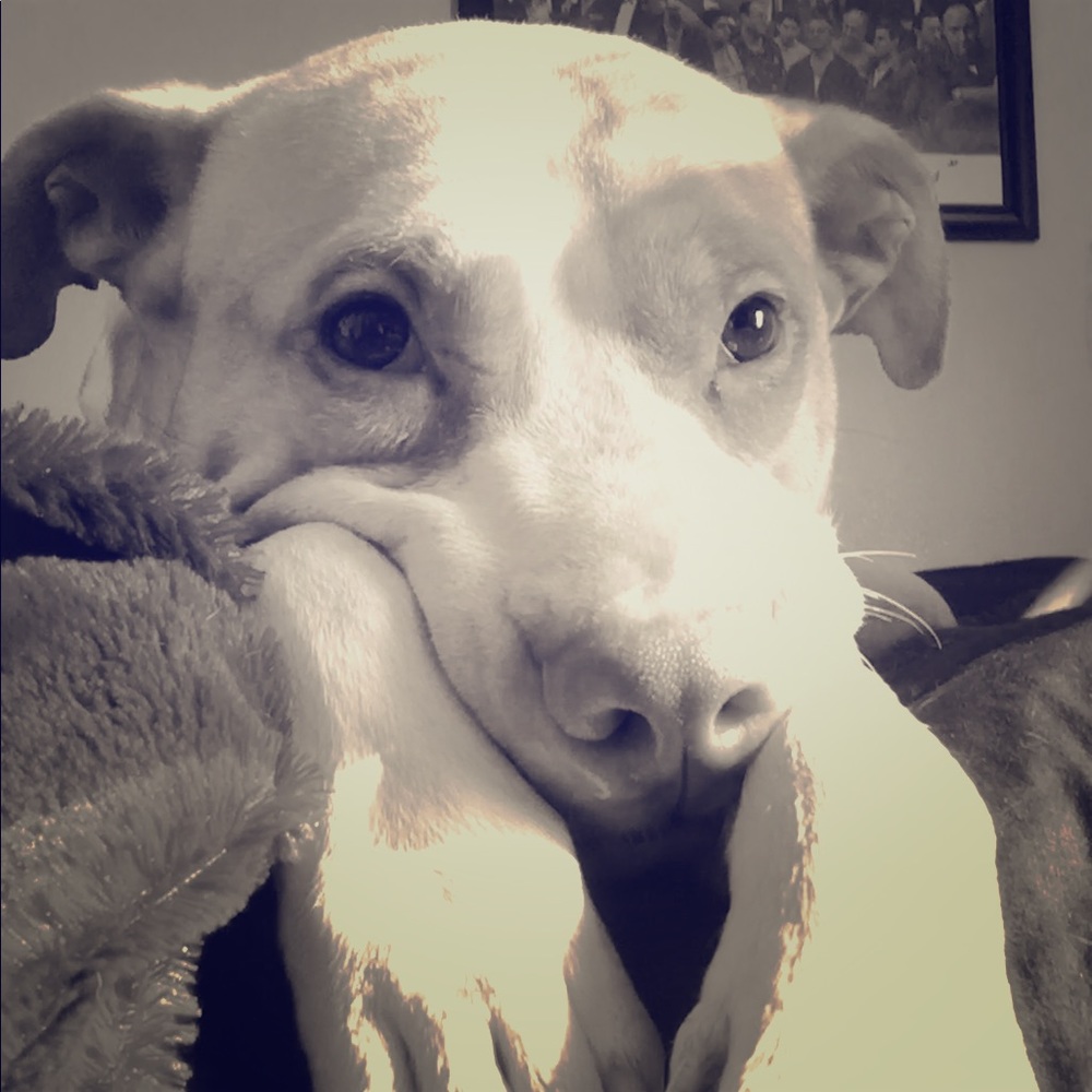 Meet your Posher, Zoie